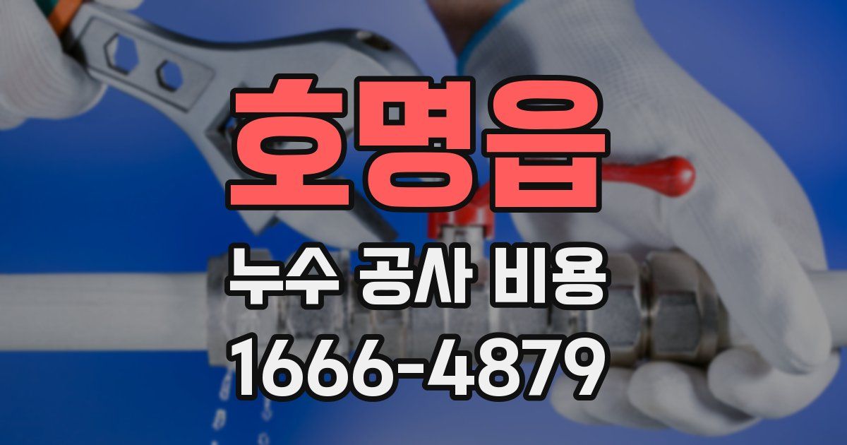 호명읍 누수 공사 비용