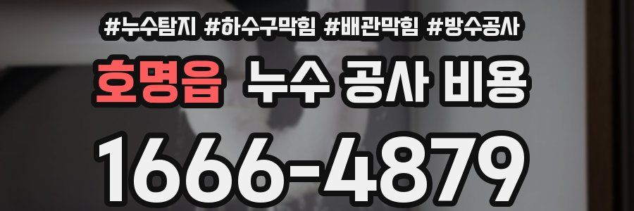 호명읍 누수 공사 비용