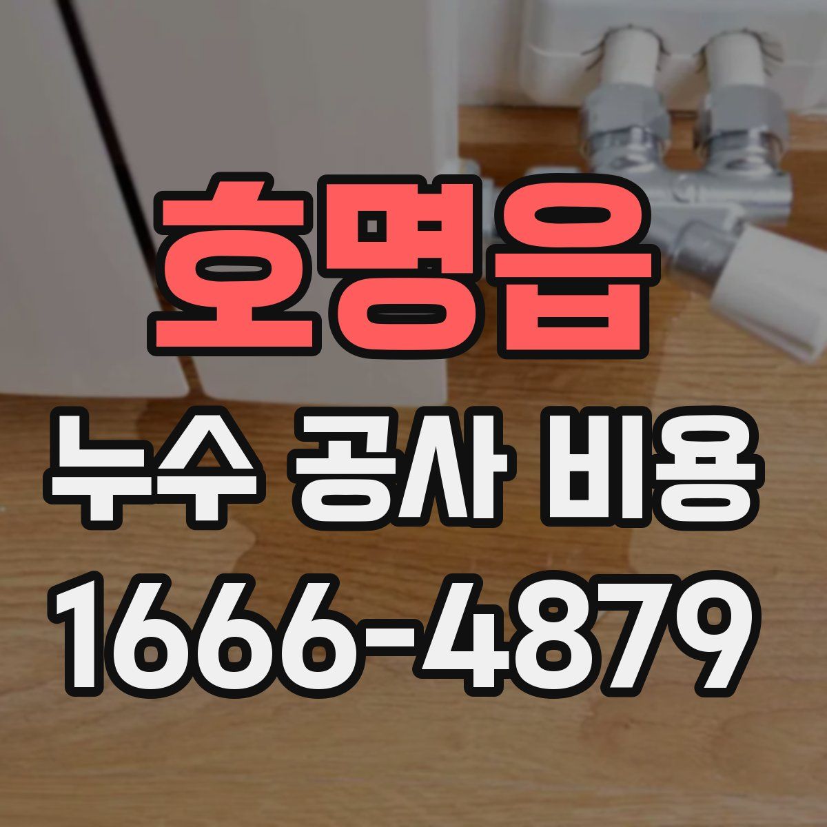 호명읍 누수 공사 비용