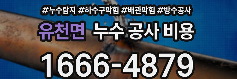 유천면 누수 공사 비용