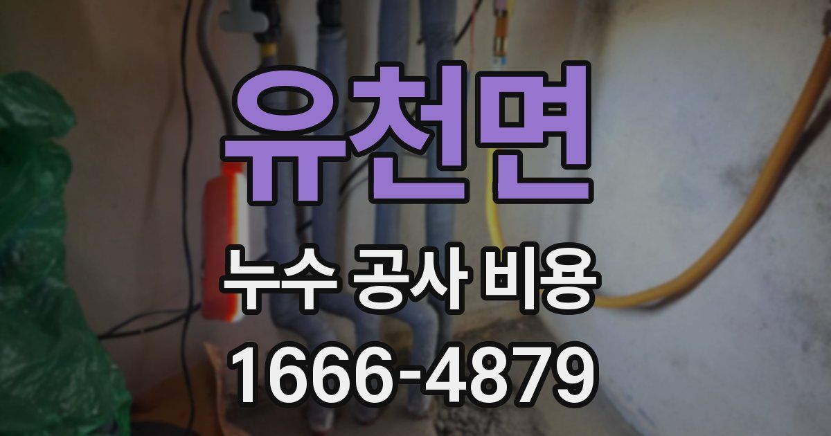 유천면 누수 공사 비용