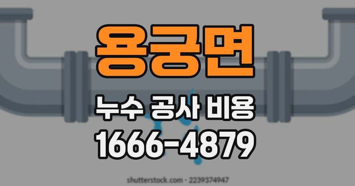 용궁면 누수 공사 비용