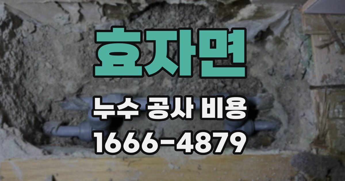 효자면 누수 공사 비용