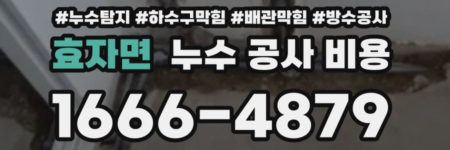 효자면 누수 공사 비용