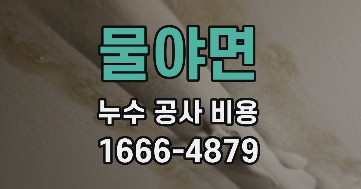 물야면 누수 공사 비용