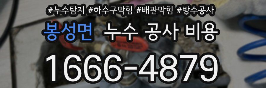 봉성면 누수 공사 비용