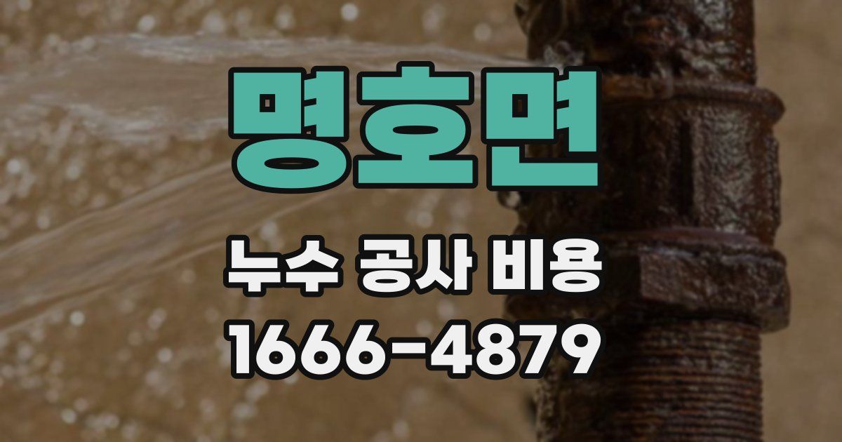 명호면 누수 공사 비용