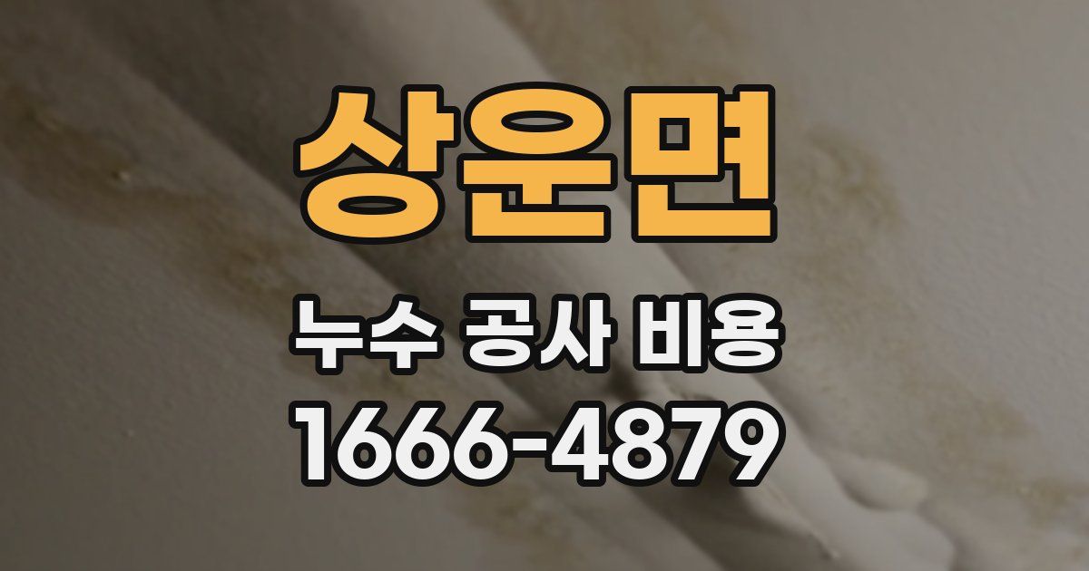 상운면 누수 공사 비용