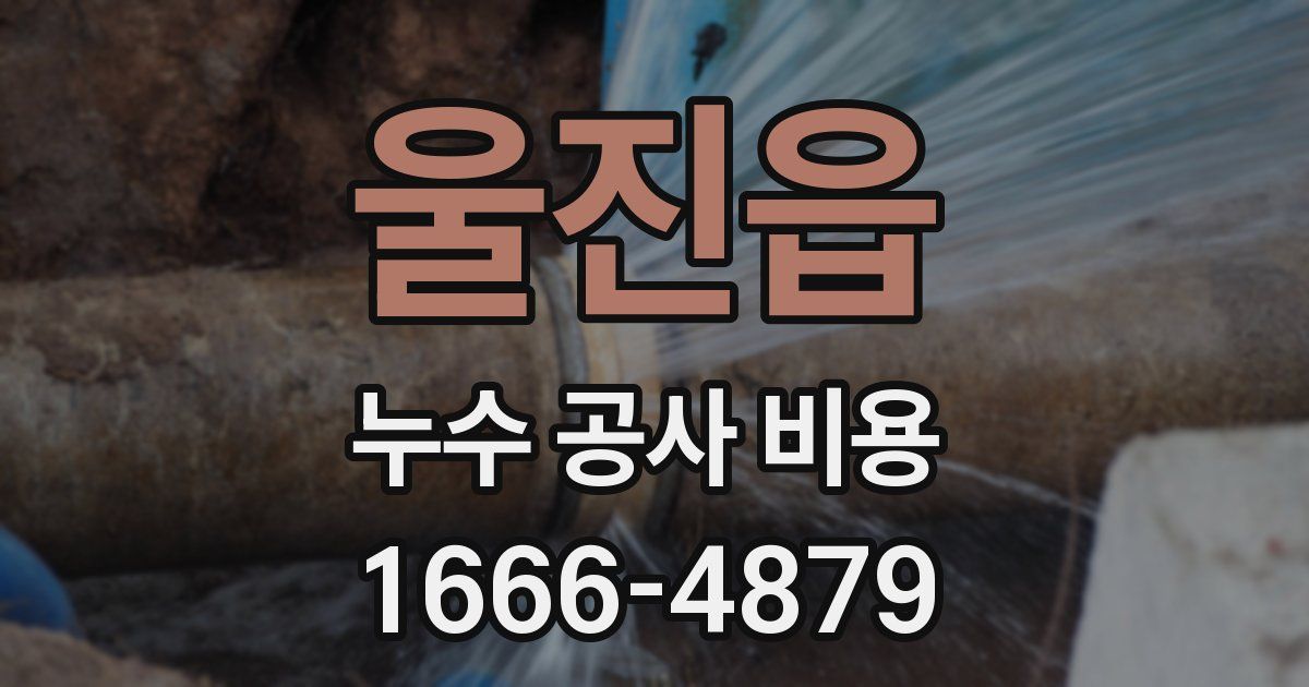 울진읍 누수 공사 비용