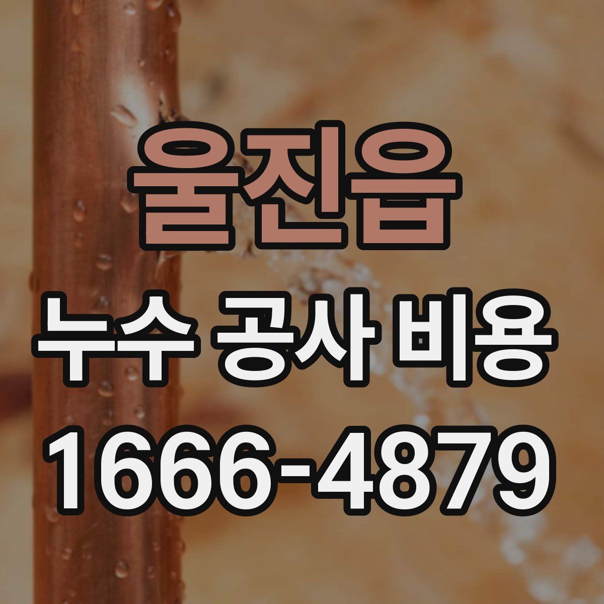 울진읍 누수 공사 비용