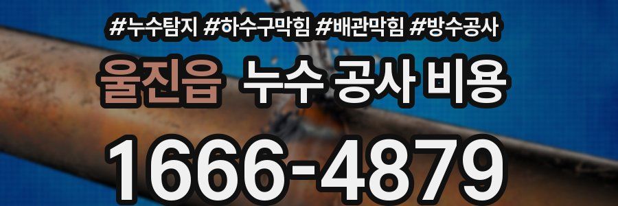 울진읍 누수 공사 비용