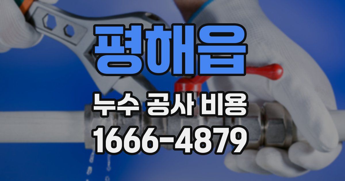 평해읍 누수 공사 비용
