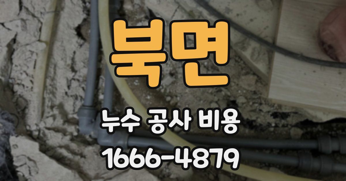 북면 누수 공사 비용