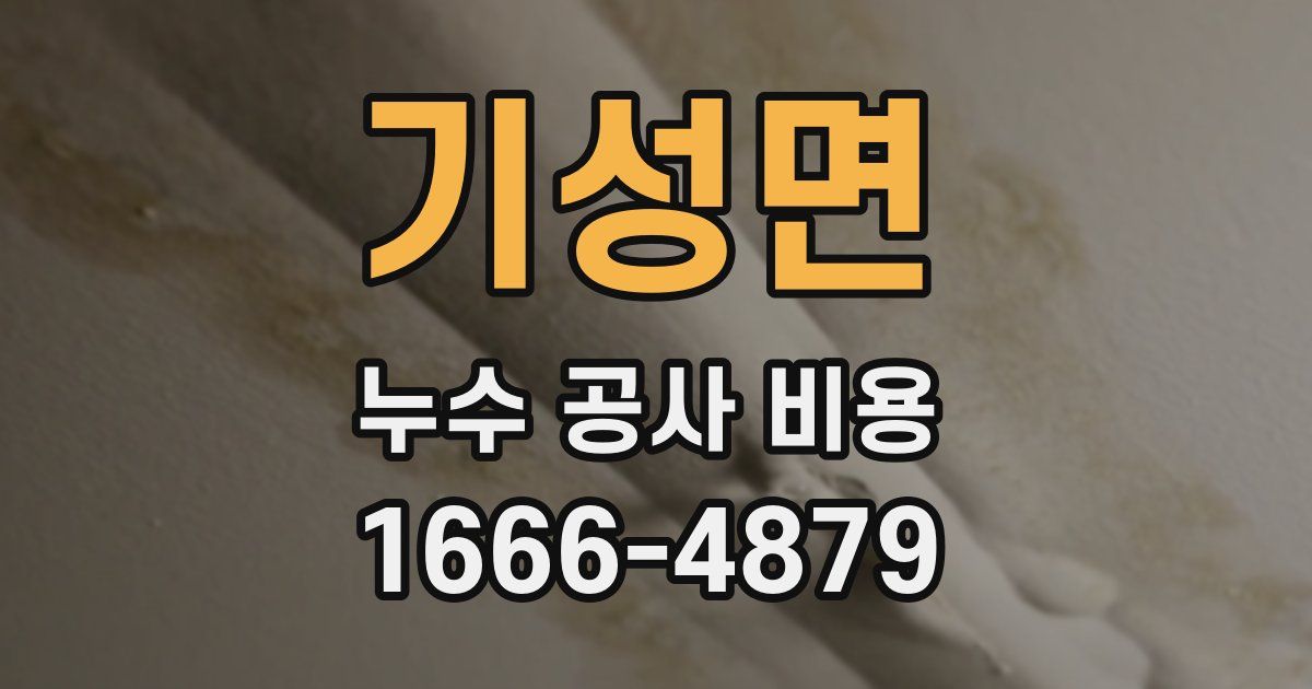 기성면 누수 공사 비용