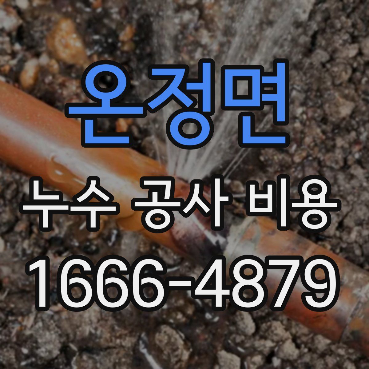 온정면 누수 공사 비용