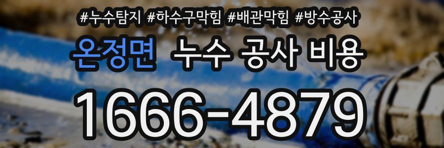 온정면 누수 공사 비용
