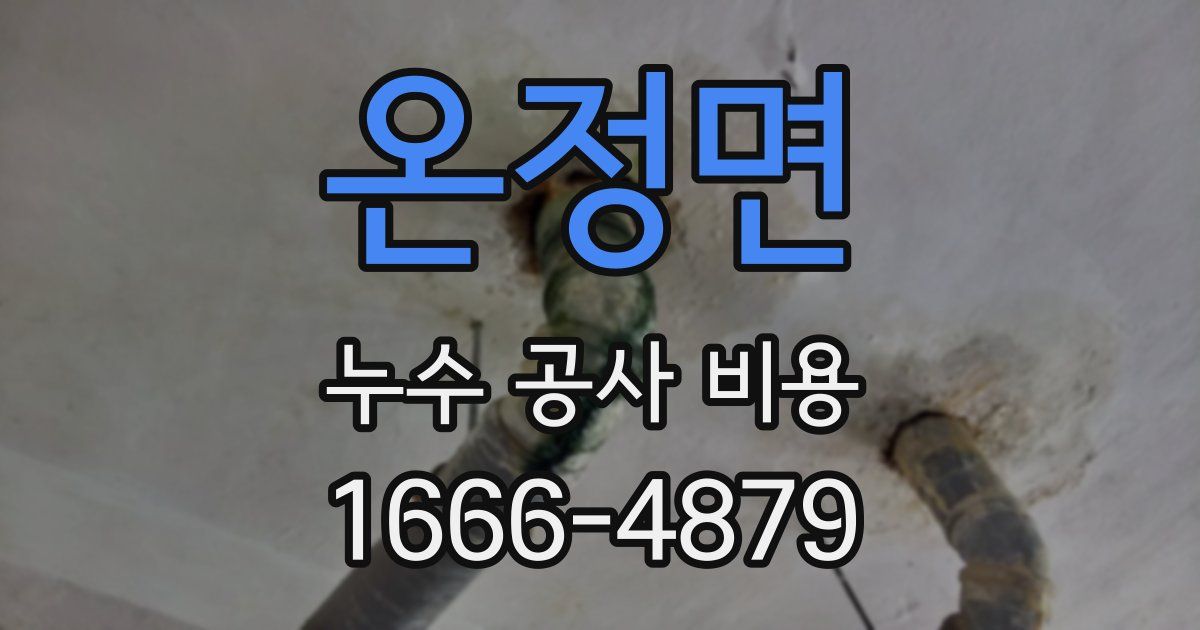 온정면 누수 공사 비용