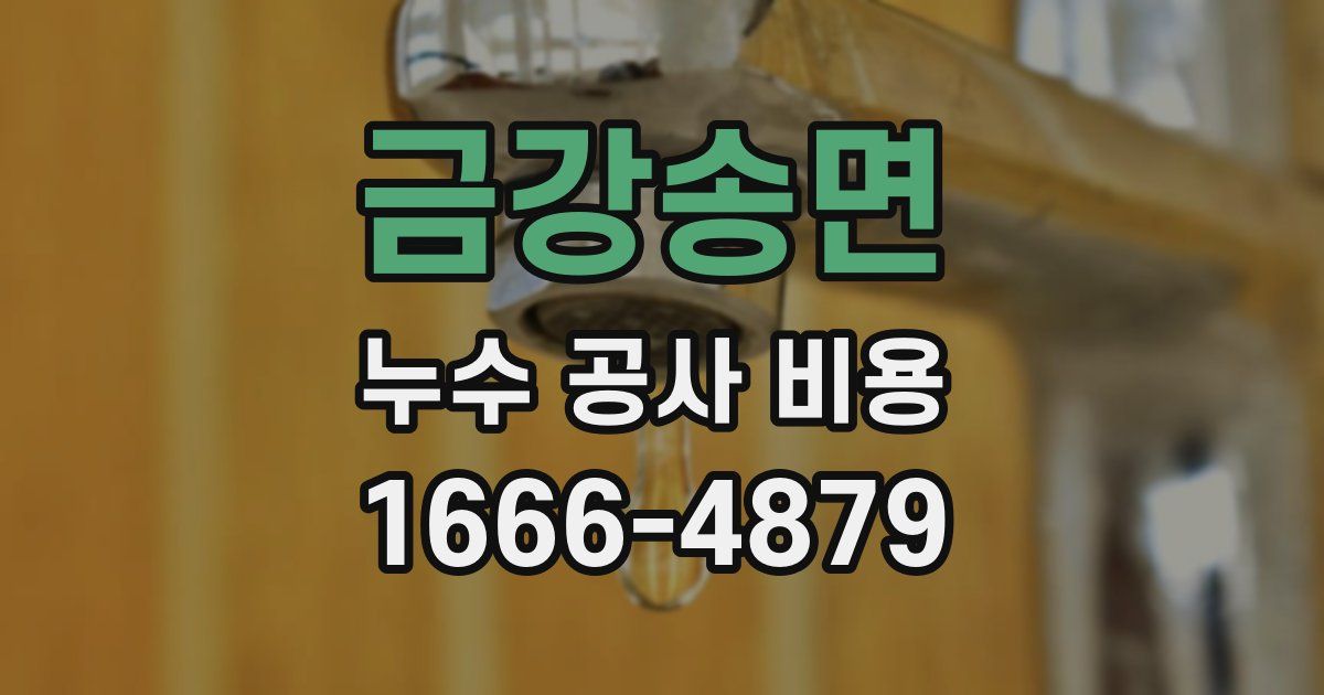 금강송면 누수 공사 비용