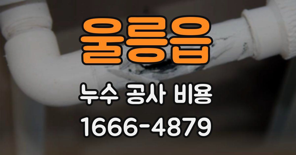 울릉읍 누수 공사 비용
