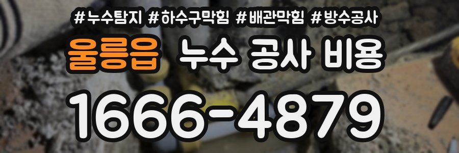울릉읍 누수 공사 비용