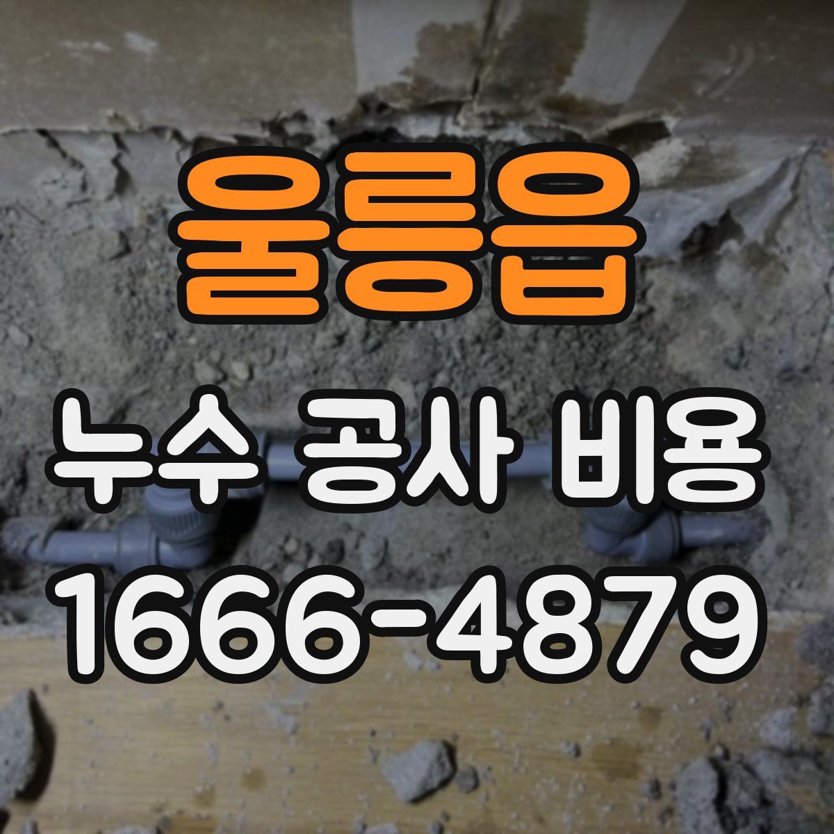 울릉읍 누수 공사 비용