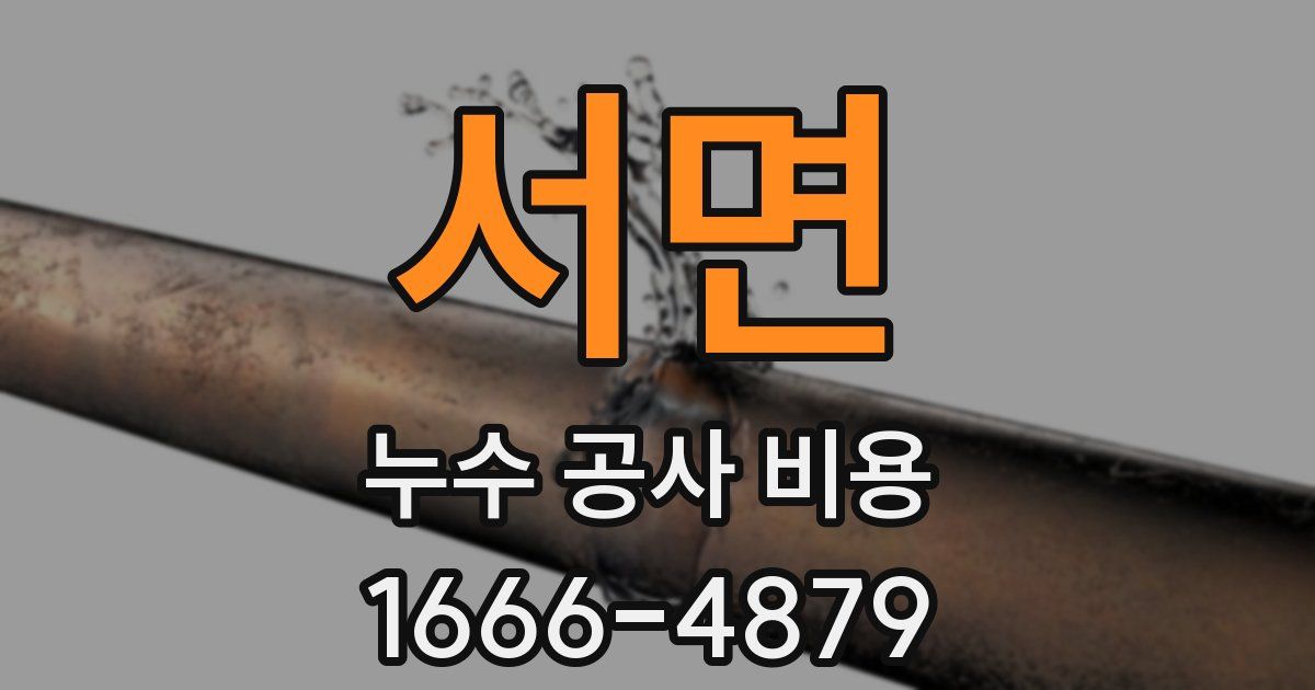 서면 누수 공사 비용