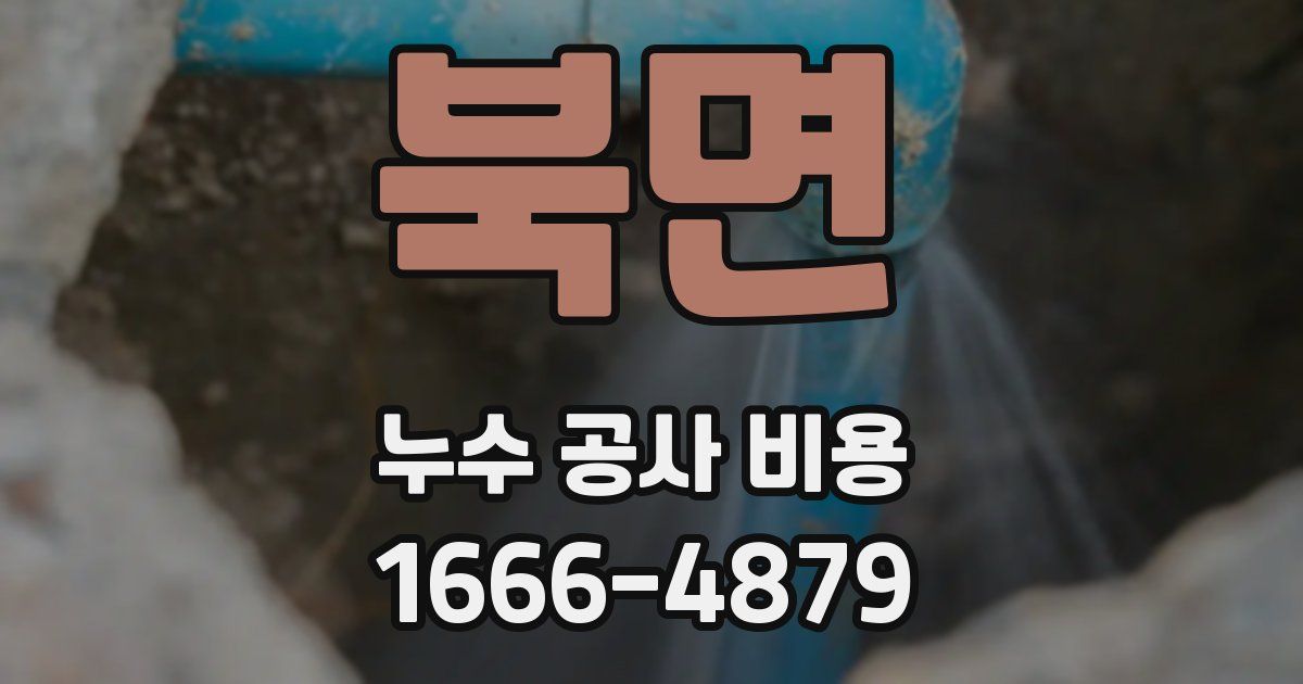 북면 누수 공사 비용