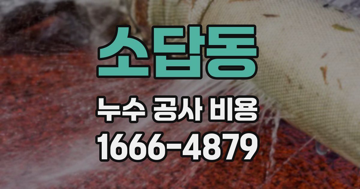 소답동 누수 공사 비용