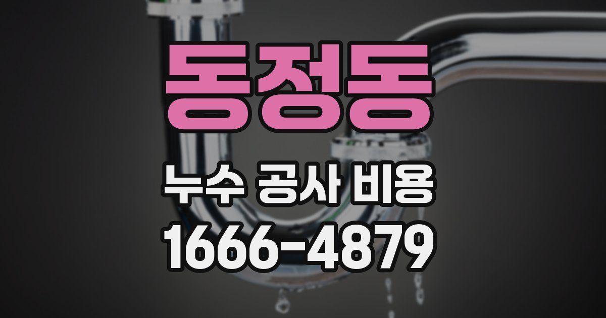 동정동 누수 공사 비용