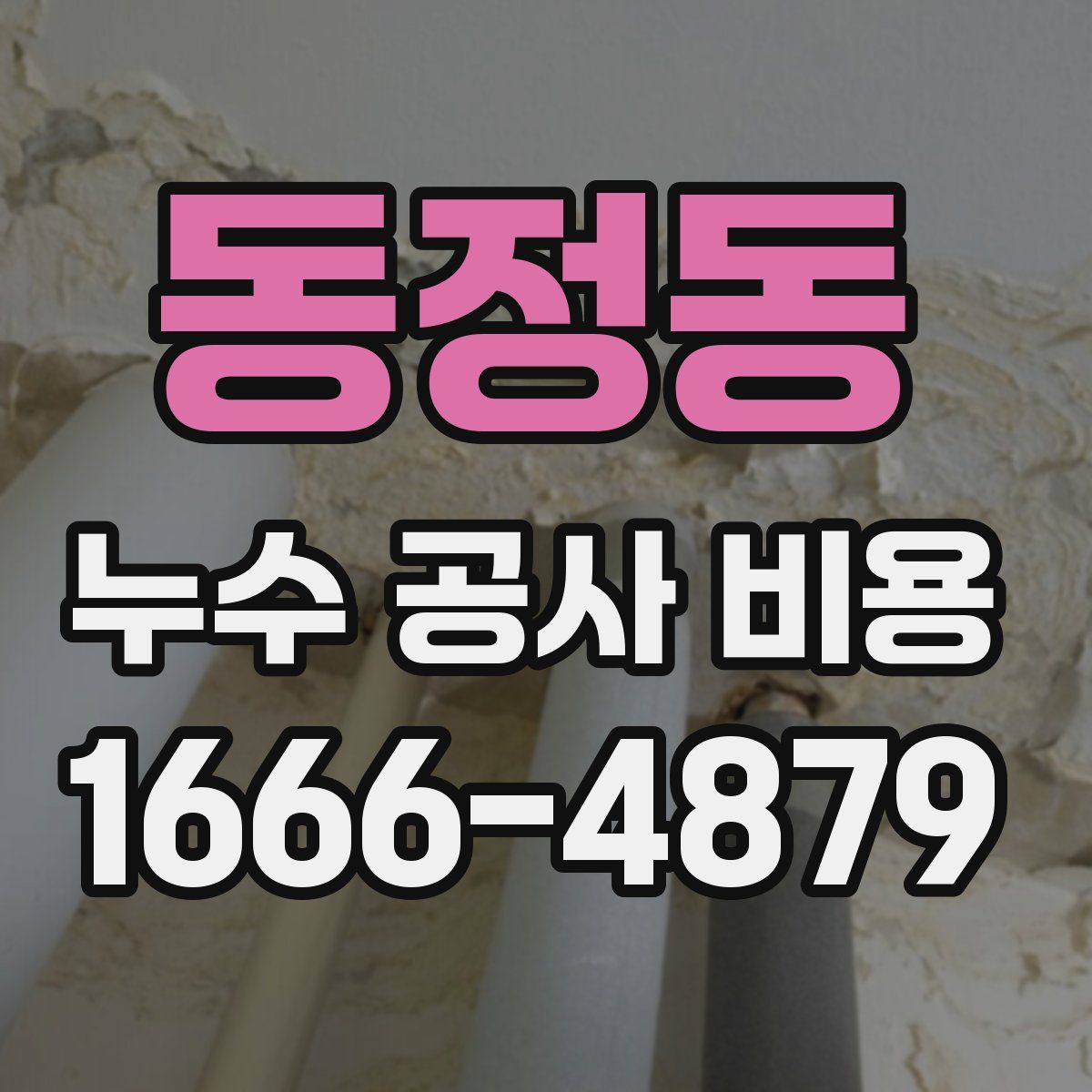동정동 누수 공사 비용