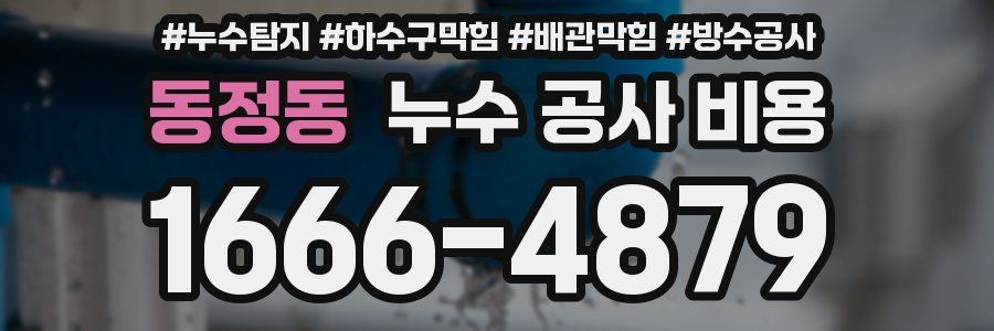 동정동 누수 공사 비용