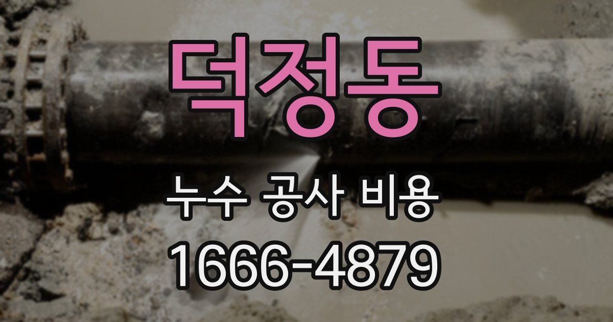 덕정동 누수 공사 비용