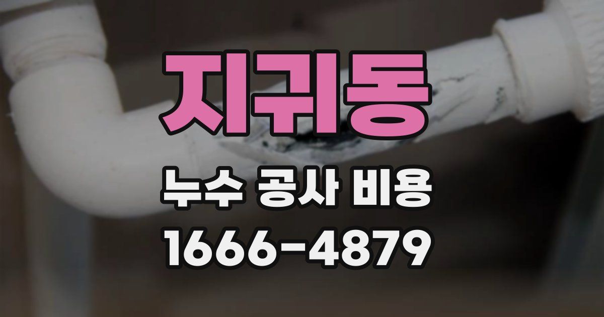 지귀동 누수 공사 비용