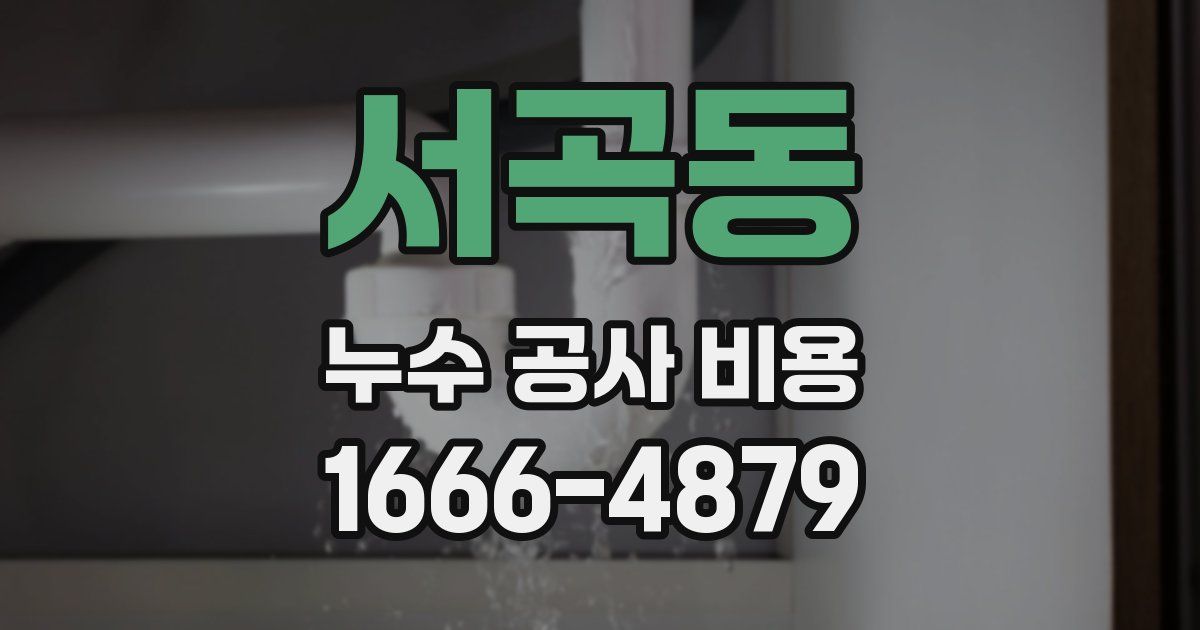 서곡동 누수 공사 비용