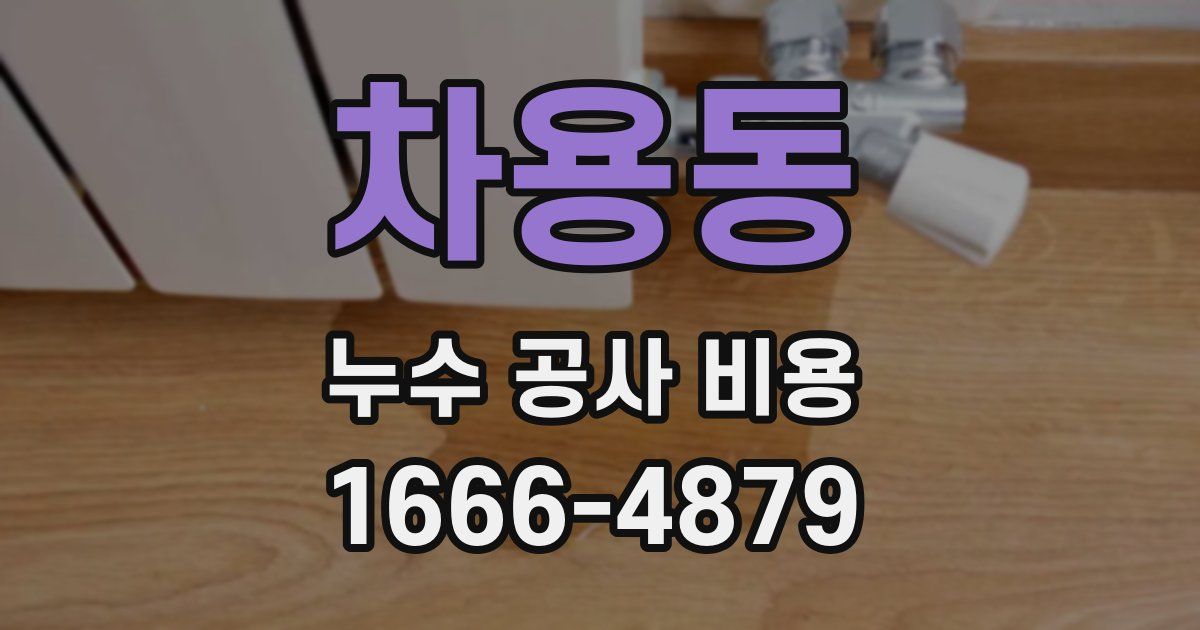 차용동 누수 공사 비용