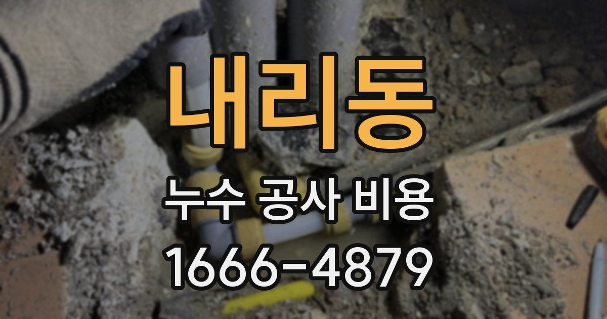 내리동 누수 공사 비용