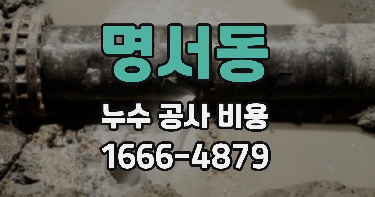 명서동 누수 공사 비용