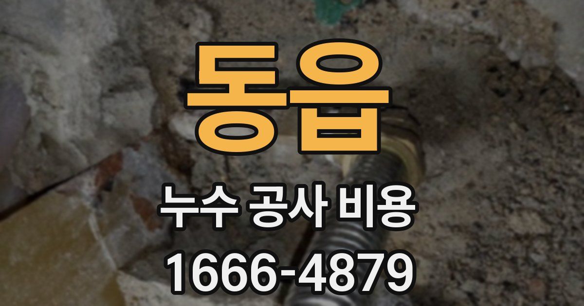 동읍 누수 공사 비용