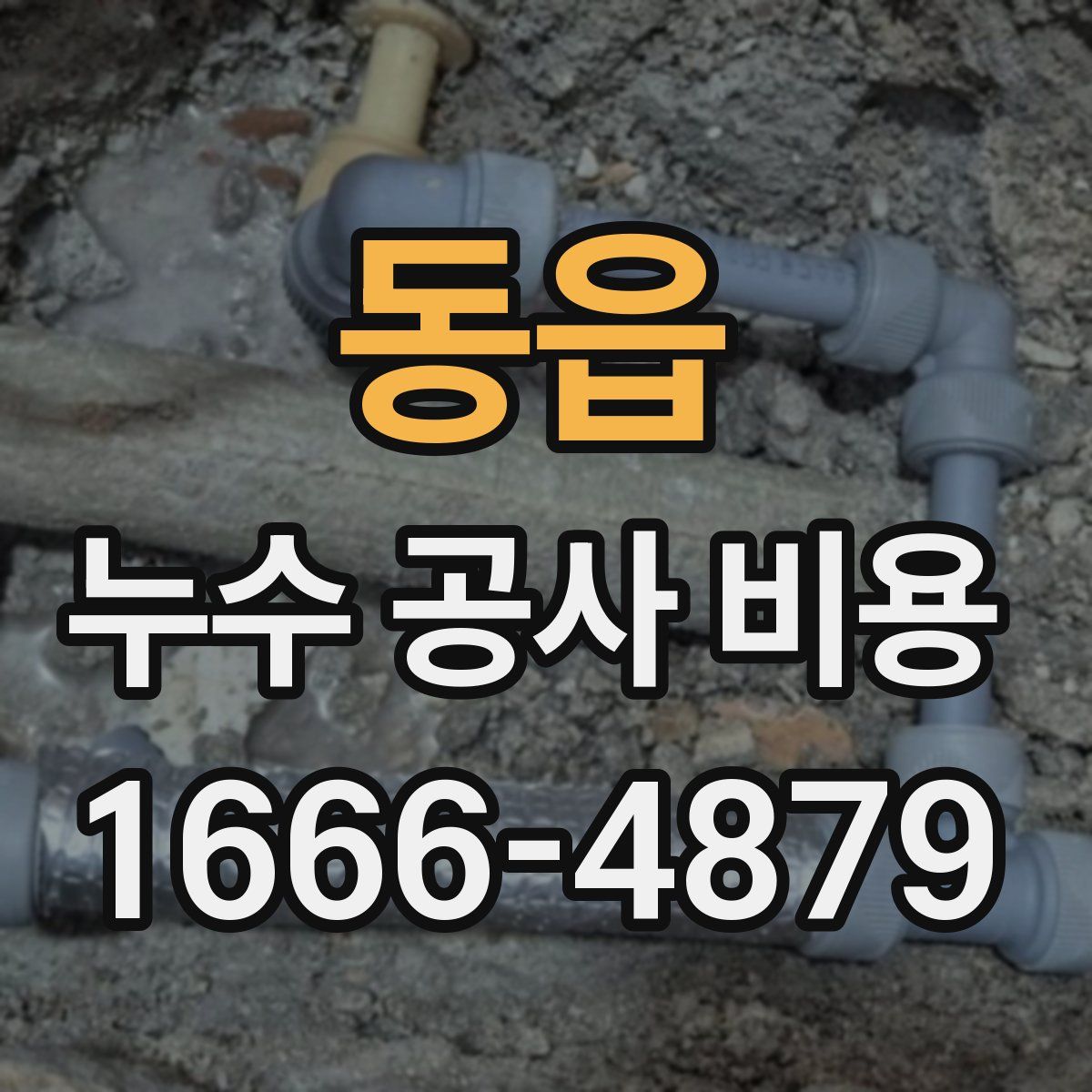 동읍 누수 공사 비용