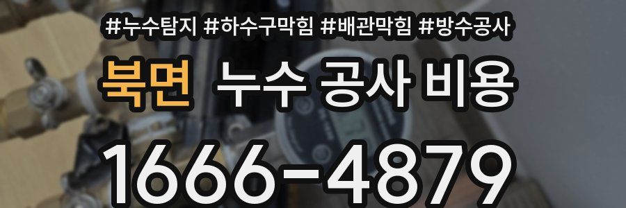 북면 누수 공사 비용
