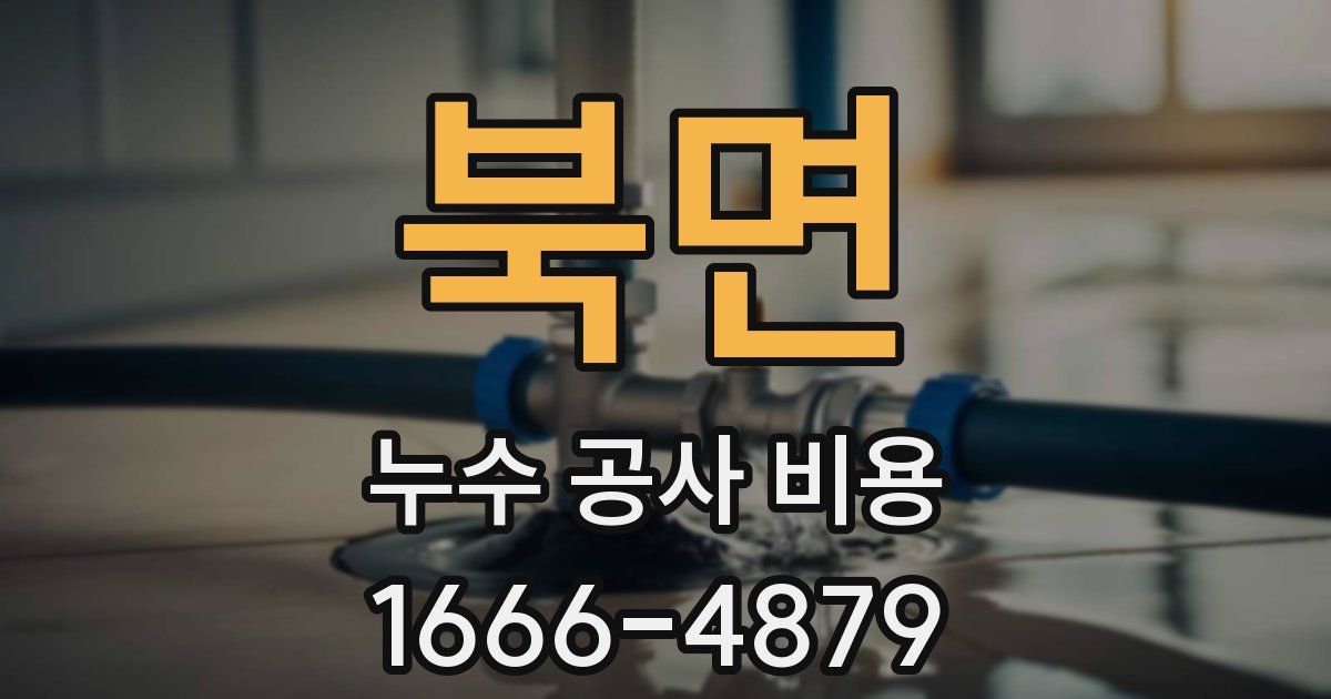 북면 누수 공사 비용