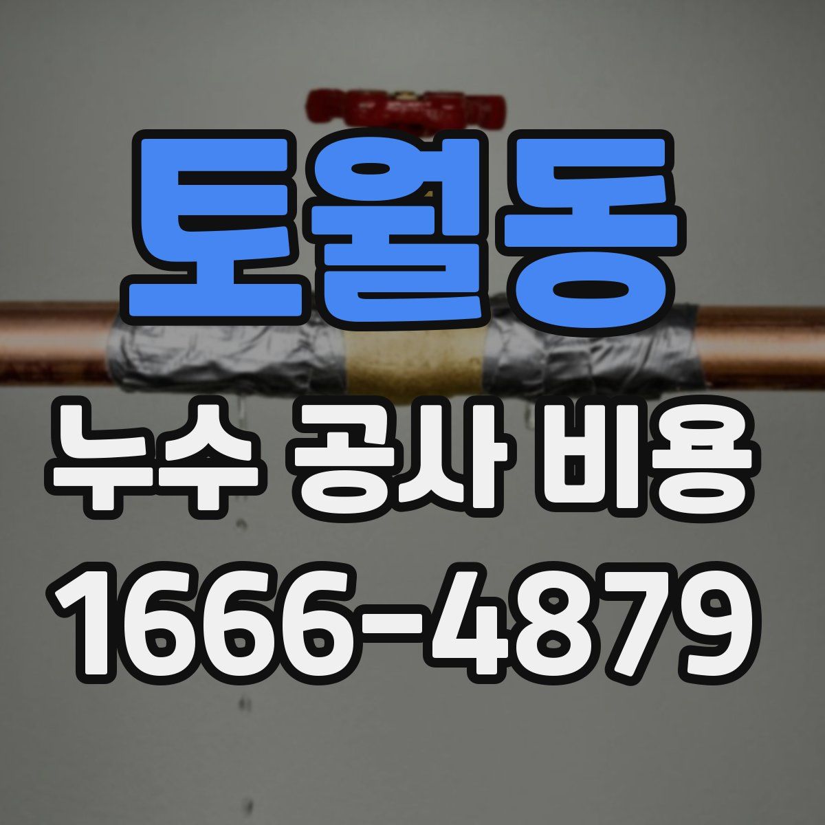 토월동 누수 공사 비용