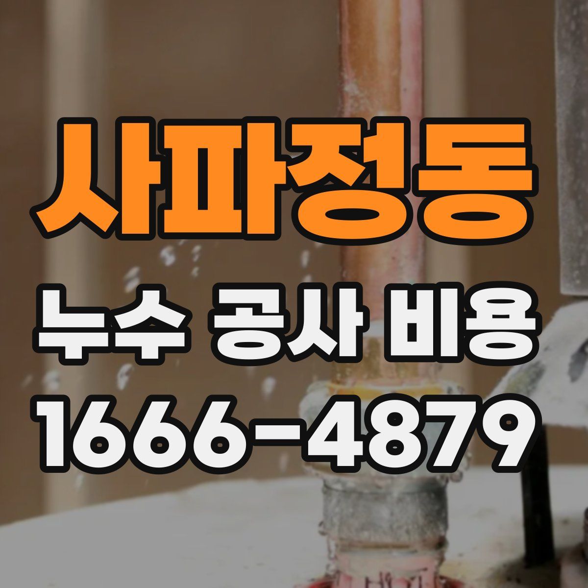 사파정동 누수 공사 비용