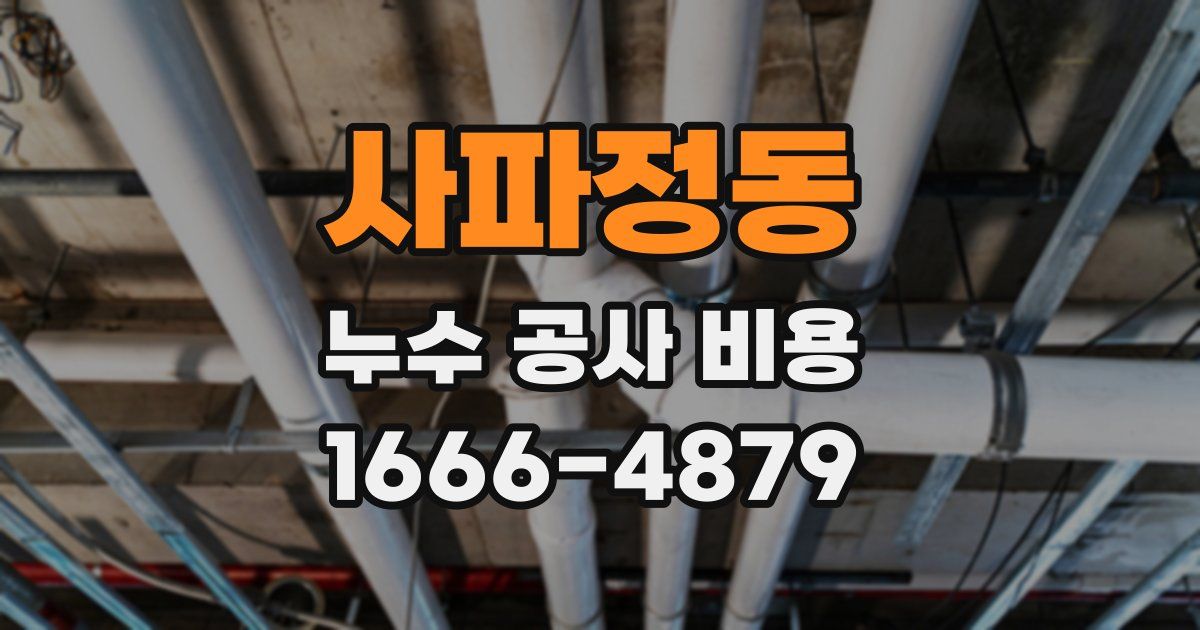 사파정동 누수 공사 비용