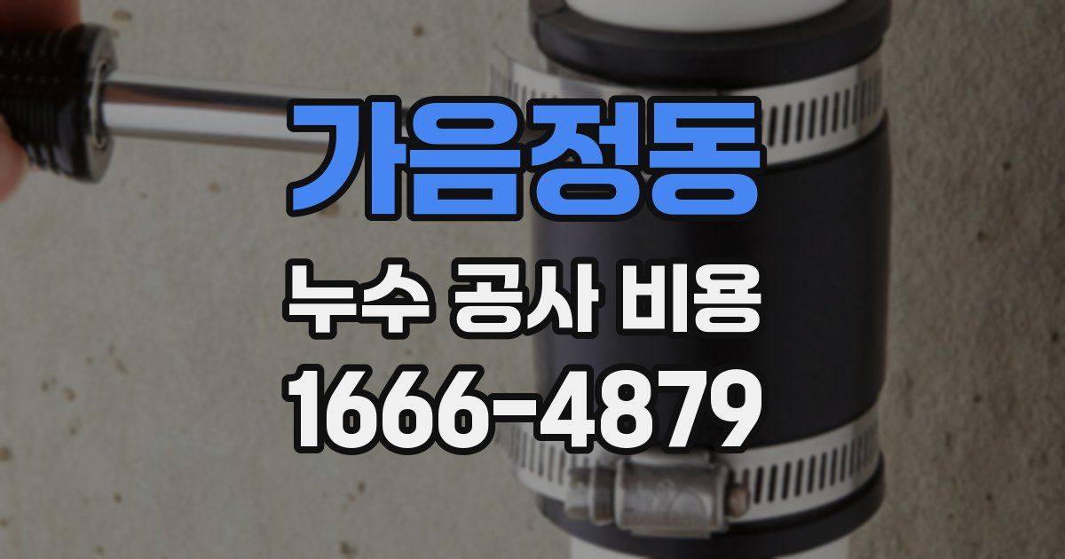 가음정동 누수 공사 비용