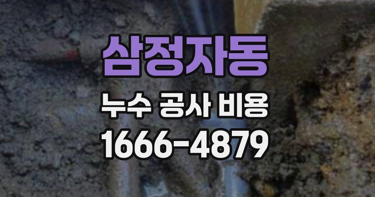 삼정자동 누수 공사 비용