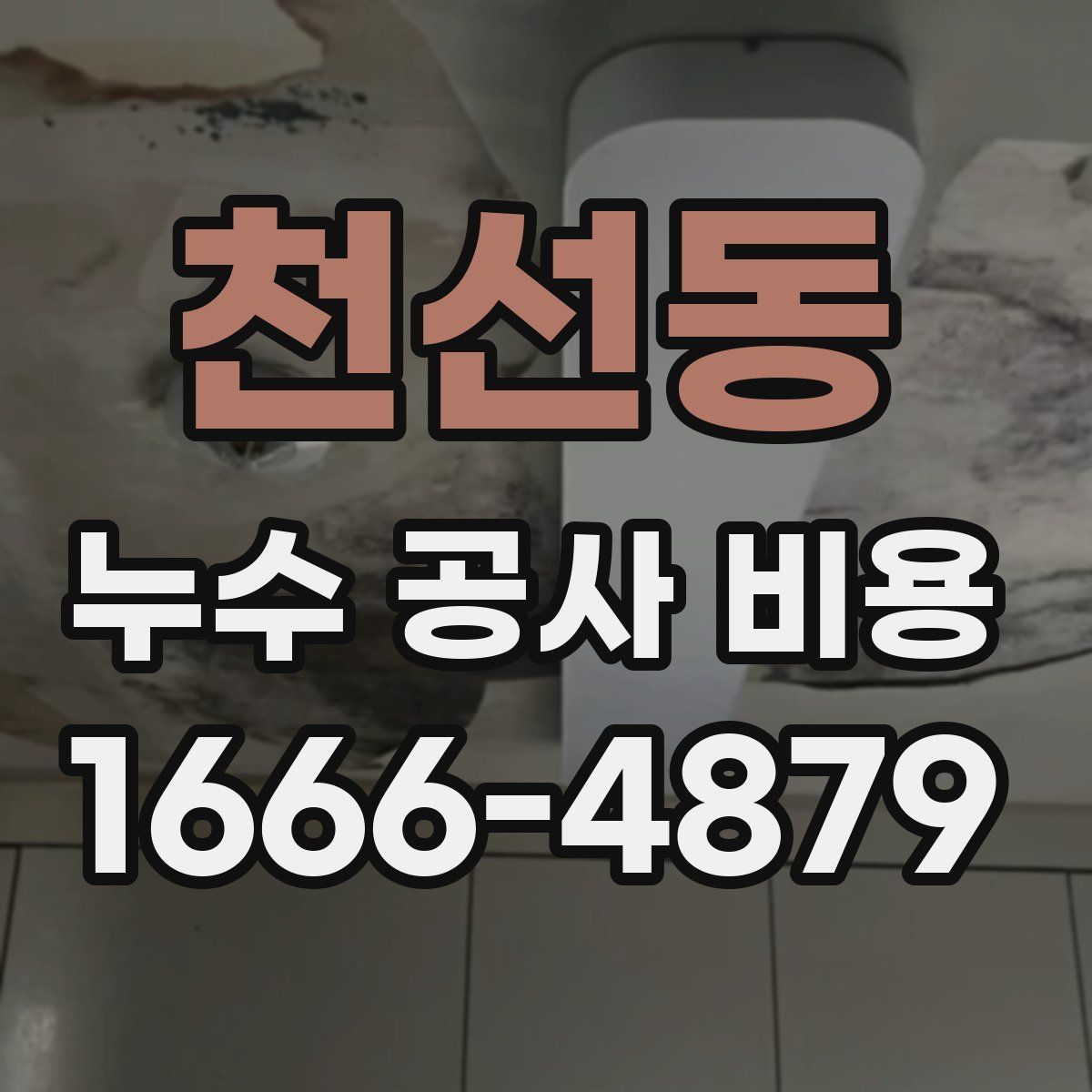 천선동 누수 공사 비용