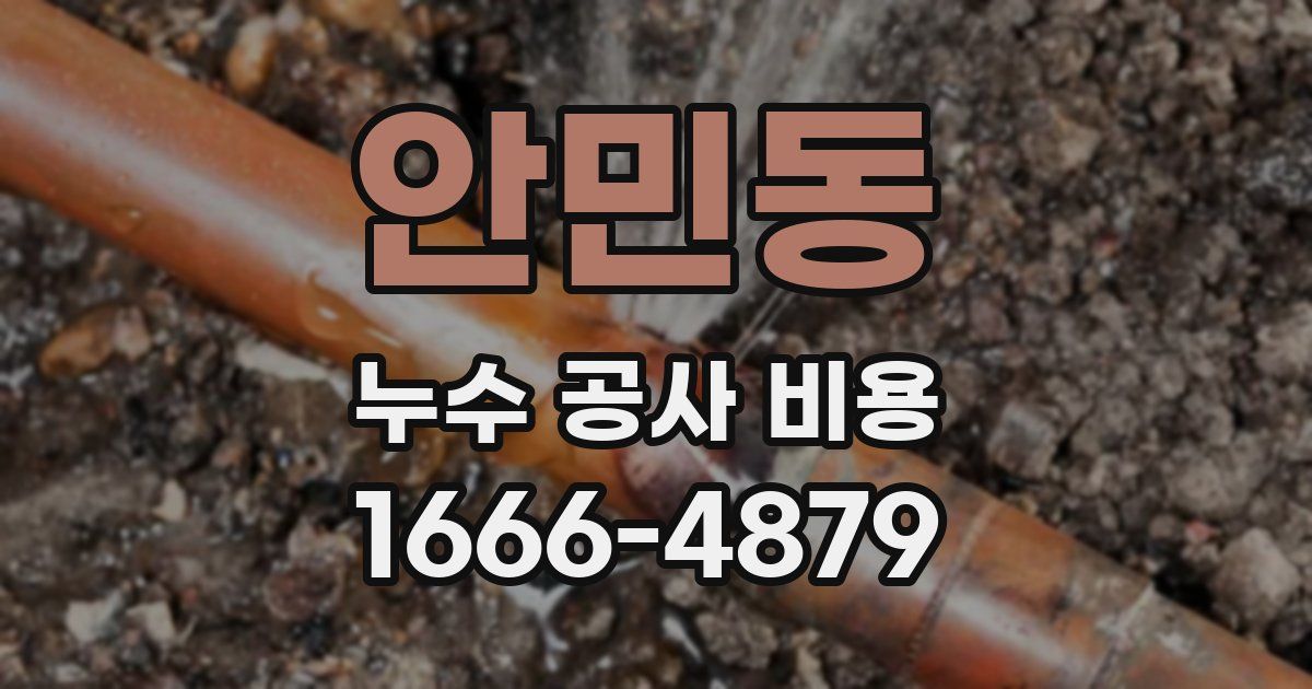 안민동 누수 공사 비용