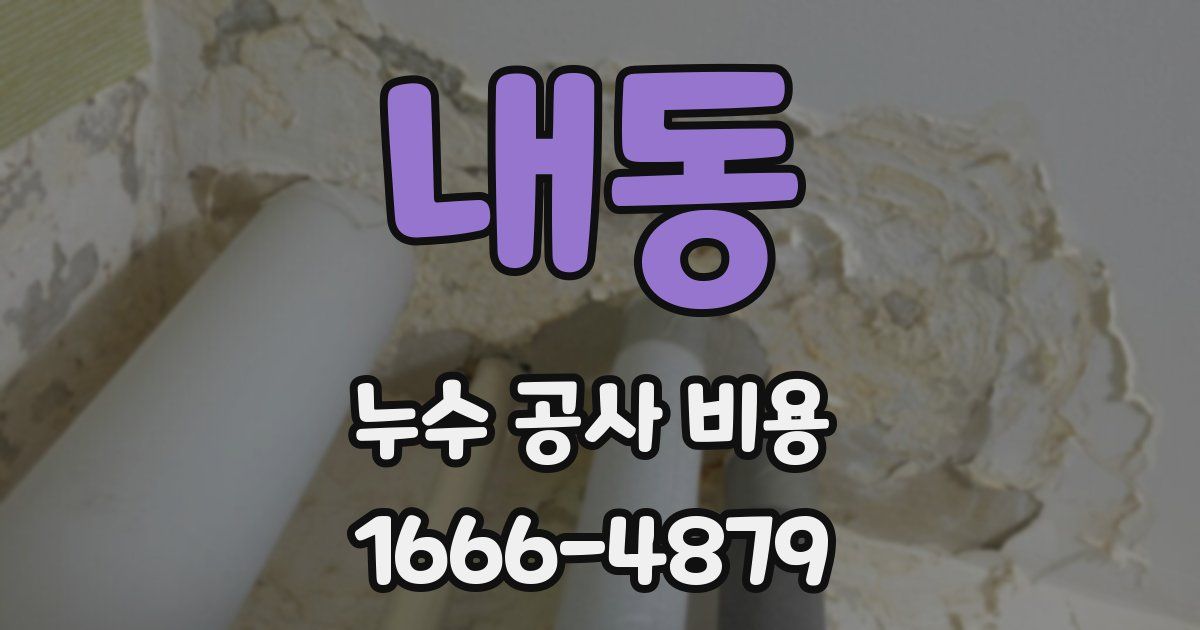 내동 누수 공사 비용
