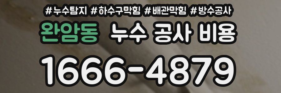 완암동 누수 공사 비용